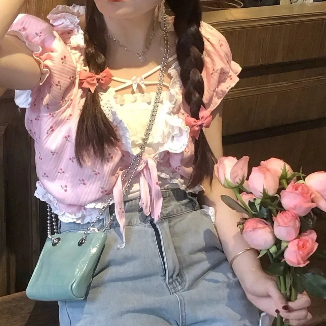 飞贼白菊花